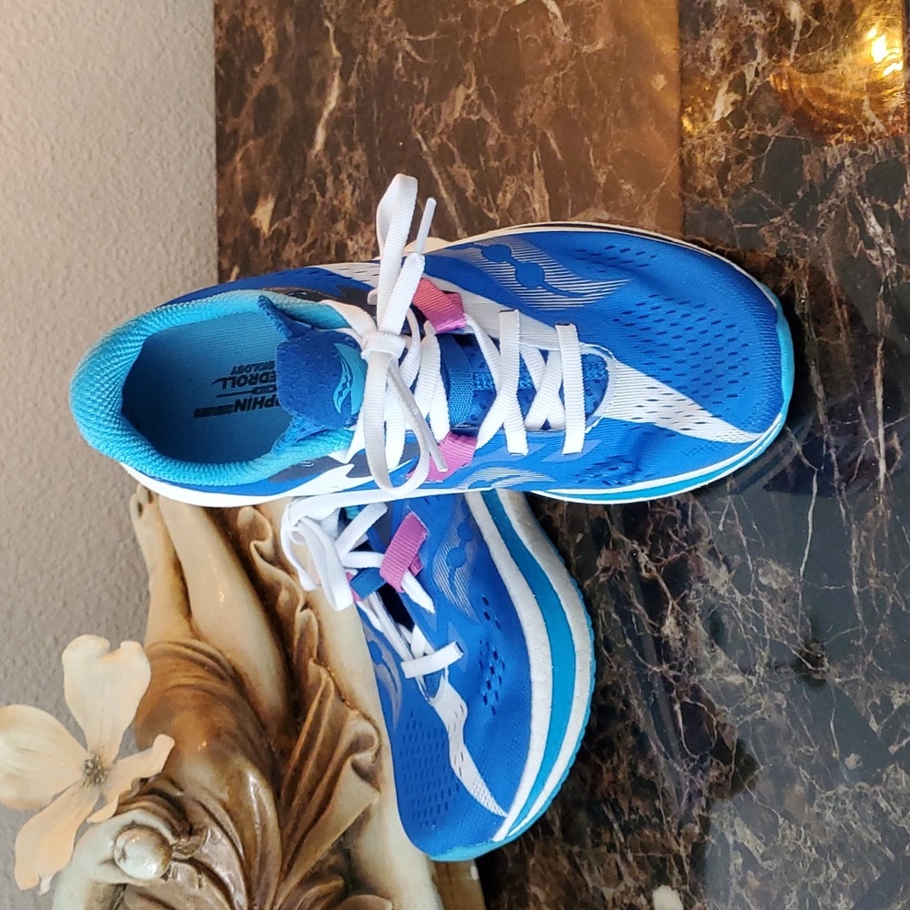 Saucony endorphin pro 2